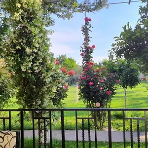 With Private Garden , Shkodër Albanië
